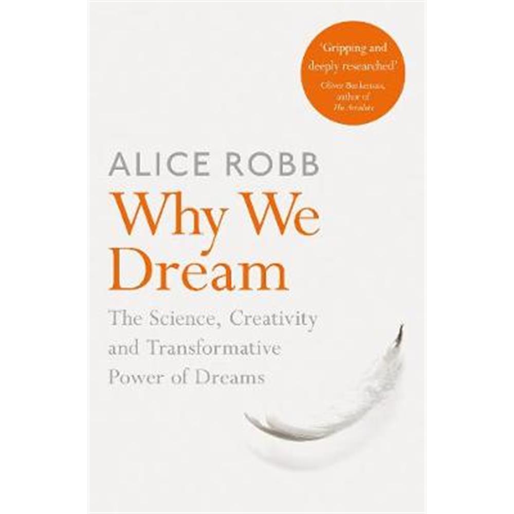 Why We Dream (Paperback) - Alice Robb
